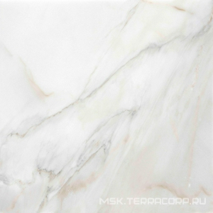 Керамогранит для пола ProGRES Ceramica эго  светло-серый глазурованный ZZl60х60 Серый NR0022