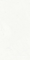 Statuario Classico Soft |60x120