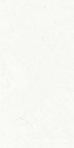 Керамогранит для пола и стены Ariostea Marmi Classici Statuario Classico Soft 60x120 P612516