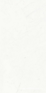 Керамогранит для пола и стены Ariostea Marmi Classici Statuario Classico Soft 60x120 P612516