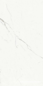 Керамогранит для пола и стены Ariostea Marmi Classici Statuario Classico Soft 60x120 P612516