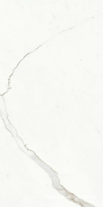 Керамогранит для пола и стены Ariostea Marmi Classici Statuario Classico Soft 60x120 P612516