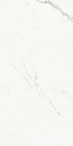 Керамогранит для пола и стены Ariostea Marmi Classici Statuario Classico Soft 60x120 P612516