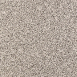 Гранит Technica standart 12мм ST 103 ZZ|30x30