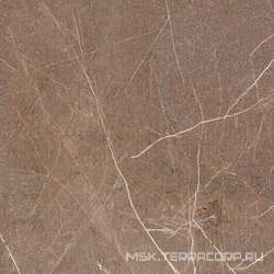 Гранит София Велюр MR матовый ZZ| 60x60