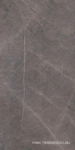 Керамогранит для пола и стены Ariostea Marmi Classici Grey Marble Soft 60х120 P612528