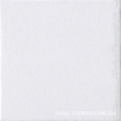 Bianco lappato XX |20x20