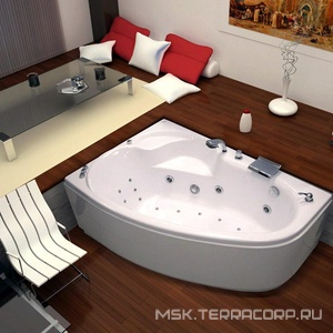 Ванна  (правая) "Стандарт",  без г/м, 170х110х58,5см,  на раме, фронт. панель, слив/перелив в комплекте ZZ Thermolux Talia Talia 170 P стандарт