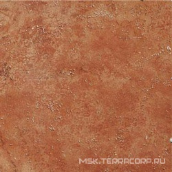 Antico XX |15x15