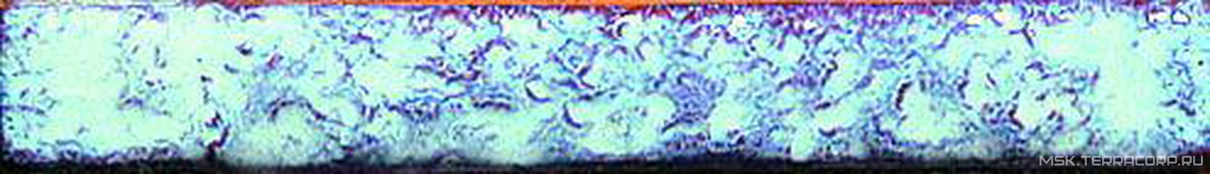 Listello Deruta Azzurro XX |3x20