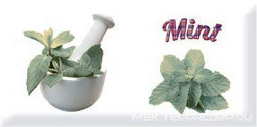 Decor Modern Mint ZZ |10x20