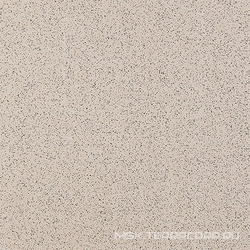 Грес Standard 01 непол. ZZ |60x60