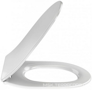 Крышка-сиденье для унитаза  Rive Gauche тонкое, с микролифтом, быстросъемное Jacob Delafon Odeon E24889-00
