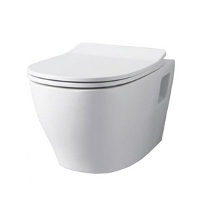 Сиденье для унитаза, с микролифтом, Slim, (цв.белый, петли цв.хром),  XXZZ ArtСeram Ten TEA005 01