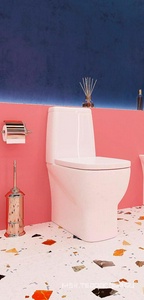 Унитаз-компакт «INFINITY», двухуреж. арматура GEBERIT, сиденье дюропласт, микролифт Sanita Luxe Infinity WC.CC/Infinity/2-DM/WHT.G/S1 (INFSLCC01040522)