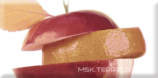 Decor Fruit Mosaic 02 KL |10x20