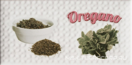Decor Modern Oregano KL |10x20