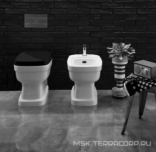 Биде напольное, с 1 отв.д/смесит., 54х37хh41,5см,  ZZ Simas Evolution EVO04