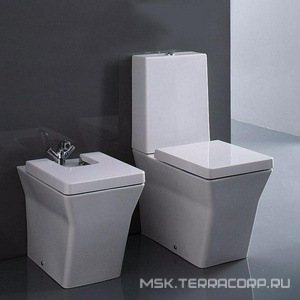 Биде напольное 56х36.5 белое, крышка микролифт и крепеж в комплекте ХХ Jacob Delafon Reve E4814-00