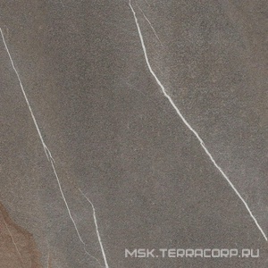 Керамогранит для пола Ariostea pietre naturali Pietra Piasentina strut. 60x60 Серый PS6259S8