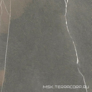 Керамогранит для пола Ariostea pietre naturali Pietra Piasentina strut. 60x60 Серый PS6259S8