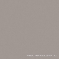 Грес Rainbow 03 серый полир.XXZZ |60x60