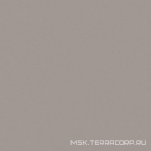 Керамогранит для пола Estima rainbow Грес  03 серый полир.XXZZ 60x60 Серый RW03