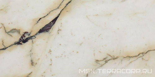 Paonazzetto Lucido Rett XX |80x180