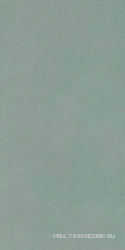 AZOLLA VERDE XX 20.1х40.5