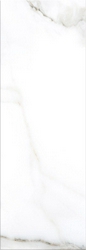 Calacatta Light |24.2x70