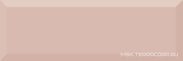 Monocolor Salmon Biselado Brillo ZZ 10x30
