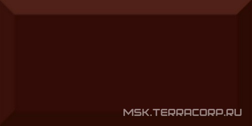 Monocolor Marron Biselado Brillo ZZ 10x20