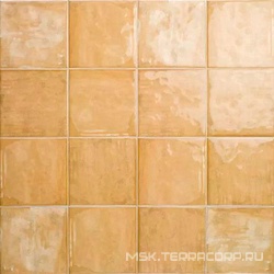 Mahon Ocre 15x15