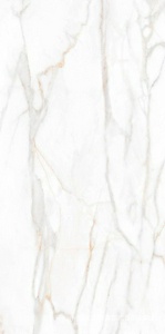 Керамогранит для пола и стены Ametis Supreme  SM02 gold неполир. 60x120 39008