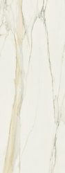 Calacatta Gold Matte XX 80x240