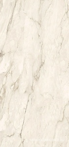 Керамогранит для пола и стены Imola The Room CRE DL6 260 LP 120x260 XX n074027