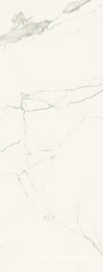 Iceberg Blanco Nplus lap XX |45x118