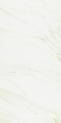 Evolutionmarble Calacatta XX 30x60