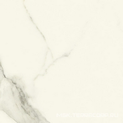 Iceberg Blanco Nplus lap XX |59x59
