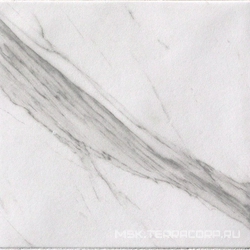 Roma Statuario ZZ |20x20