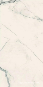 Керамогранит для пола и стены Florim I Classici di Rex Statuario soft 60x120 746588