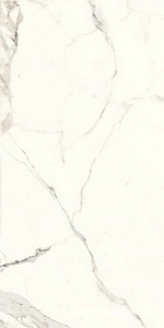 Керамогранит для пола и стены Ariostea Marmi Classici Bianco Calacatta Soft KL 60x120 P612527