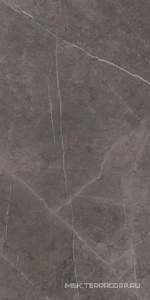 Керамогранит для пола и стены Ariostea Marmi Classici Grey Marble Luc 60х120 PL612528