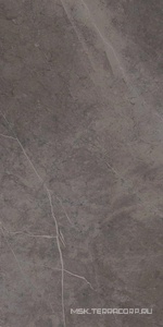 Керамогранит для пола и стены Ariostea Marmi Classici Grey Marble Luc 60х120 PL612528