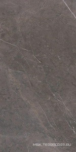Керамогранит для пола и стены Ariostea Marmi Classici Grey Marble Luc 60х120 PL612528