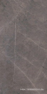 Керамогранит для пола и стены Ariostea Marmi Classici Grey Marble Luc 60х120 PL612528