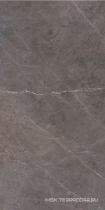 Керамогранит для пола и стены Ariostea Marmi Classici Grey Marble Luc 60х120 PL612528