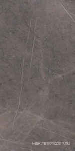 Керамогранит для пола и стены Ariostea Marmi Classici Grey Marble Luc 60х120 PL612528