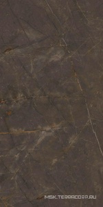 Керамогранит для пола и стены Ariostea Marmi Classici Pulpis Grey Luc60x120 PL612515