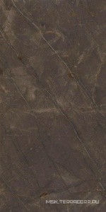 Керамогранит для пола и стены Ariostea Marmi Classici Pulpis Grey Luc60x120 PL612515